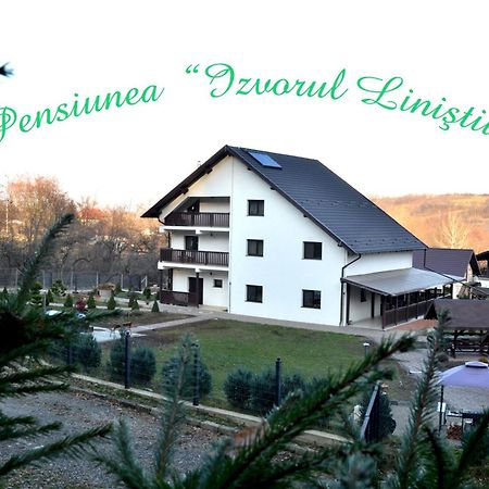 Pensiunea Izvorul Linistii Radaseni Buitenkant foto