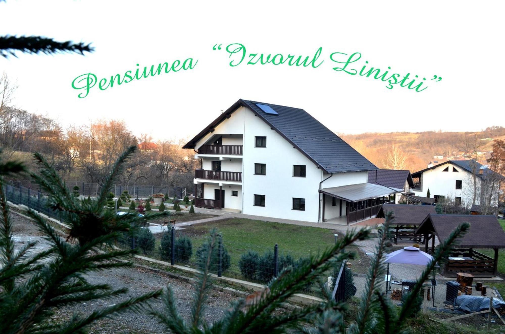 Pensiunea Izvorul Linistii Radaseni Buitenkant foto