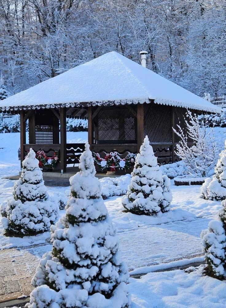 Pensiunea Izvorul Linistii Radaseni Buitenkant foto